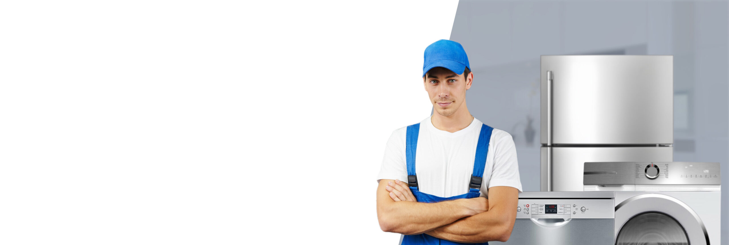 Blue Star appliance repair service canada